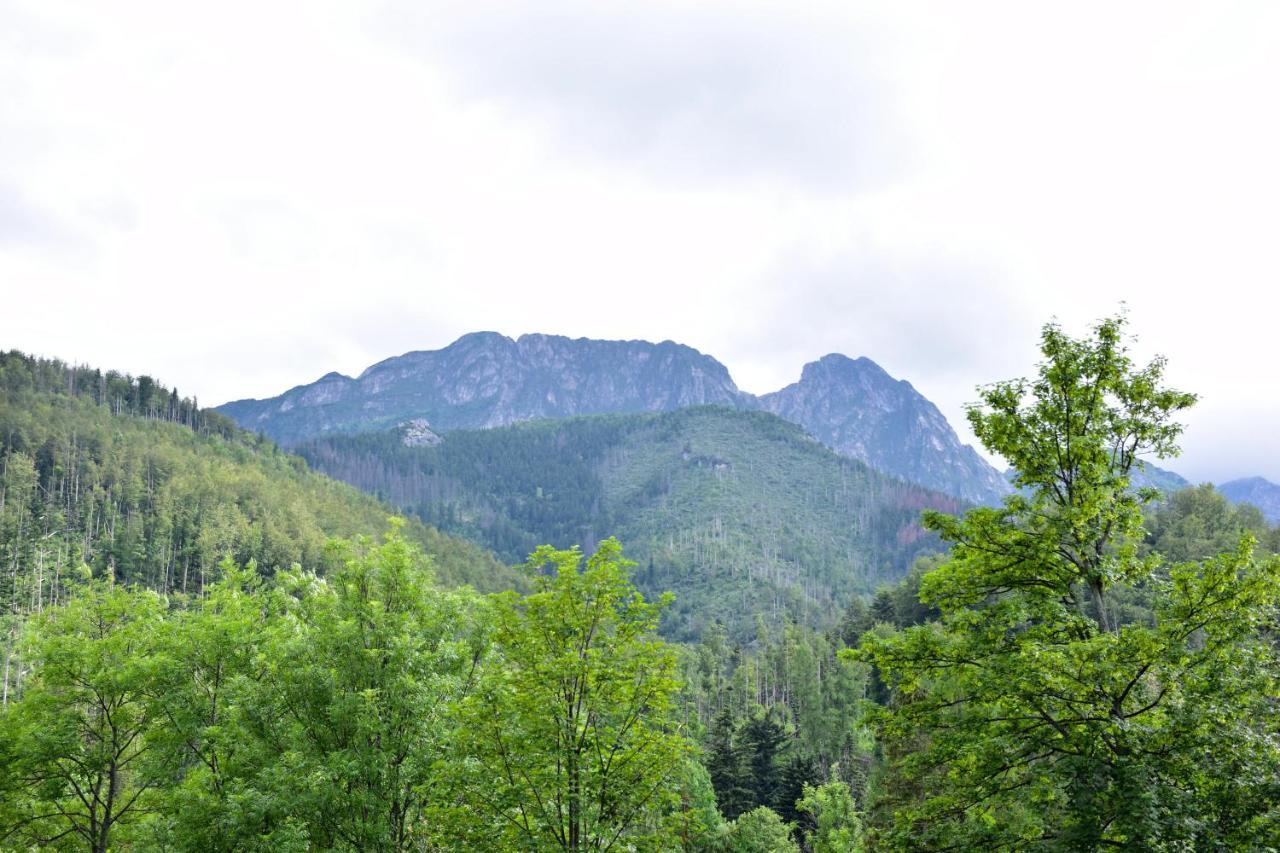 Willa Halka Acomodação com café da manhã Zakopane Exterior foto